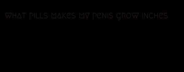 what pills makes my penis grow inches