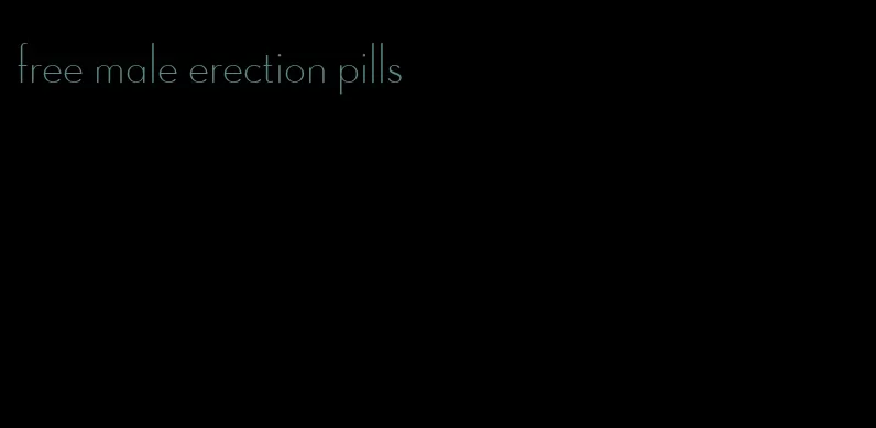 free male erection pills