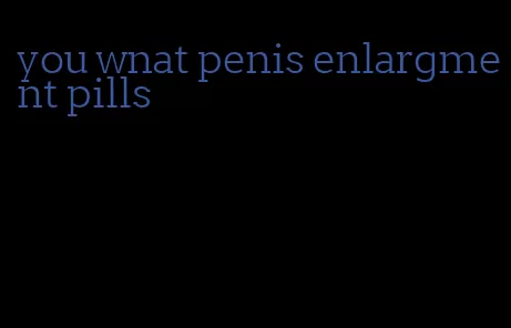 you wnat penis enlargment pills