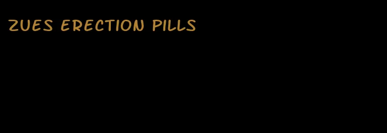 zues erection pills