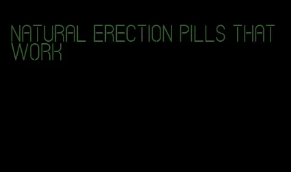 natural erection pills that work