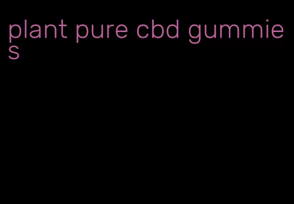 plant pure cbd gummies