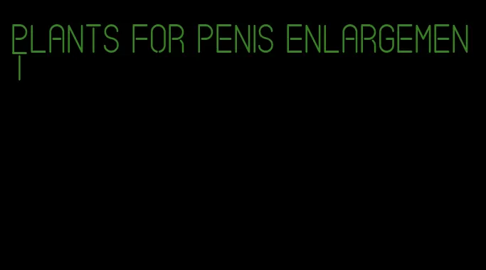 plants for penis enlargement