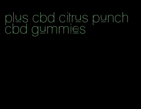 plus cbd citrus punch cbd gummies