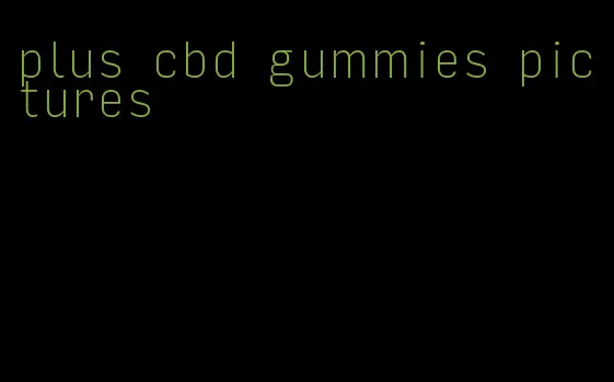 plus cbd gummies pictures