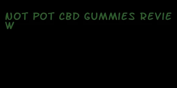 not pot cbd gummies review