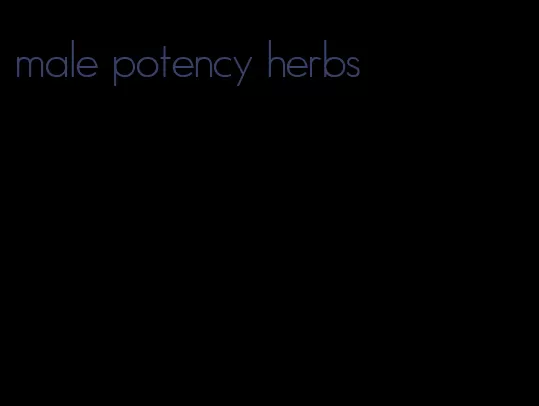 male potency herbs