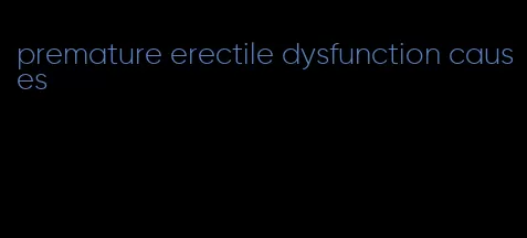 premature erectile dysfunction causes