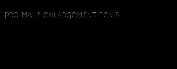 pro male enlargement penis