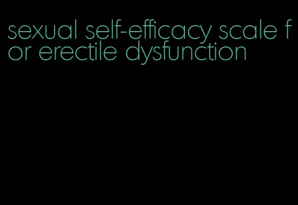 sexual self-efficacy scale for erectile dysfunction