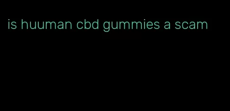 is huuman cbd gummies a scam