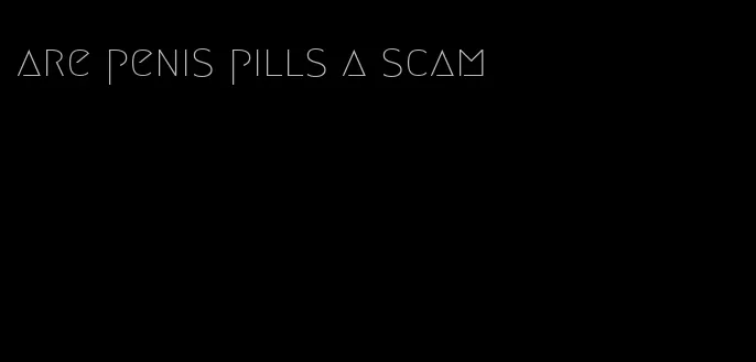 are penis pills a scam