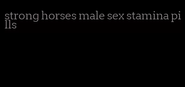 strong horses male sex stamina pills