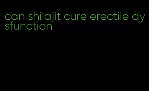 can shilajit cure erectile dysfunction