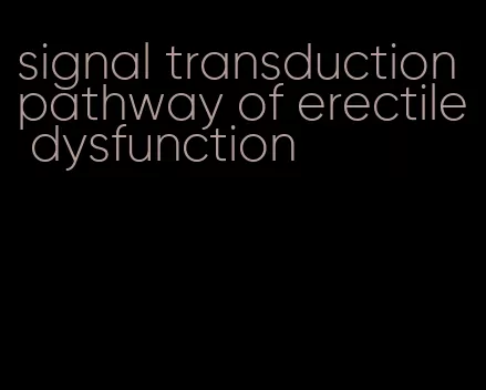 signal transduction pathway of erectile dysfunction