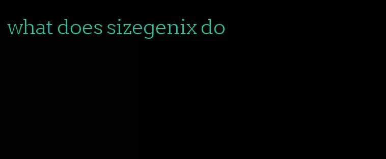 what does sizegenix do