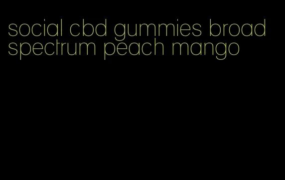 social cbd gummies broad spectrum peach mango