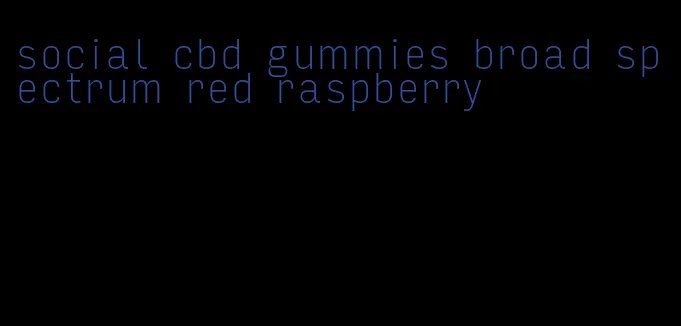 social cbd gummies broad spectrum red raspberry