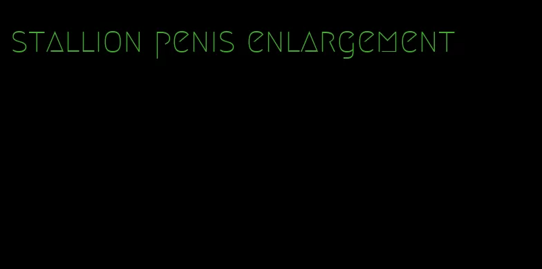 stallion penis enlargement