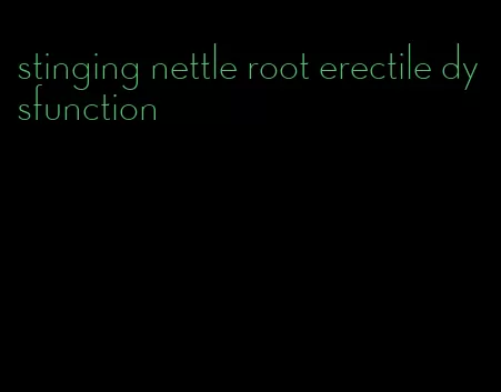 stinging nettle root erectile dysfunction