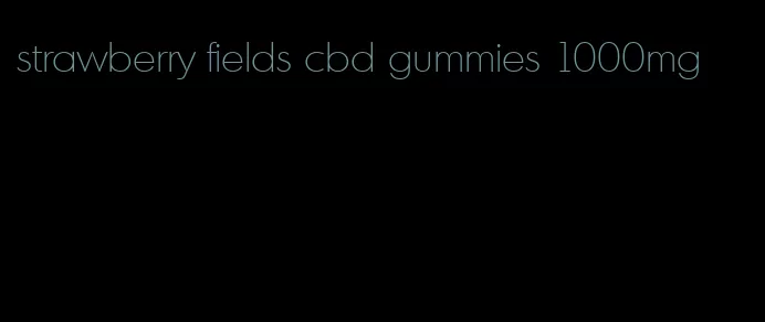 strawberry fields cbd gummies 1000mg