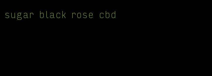 sugar black rose cbd