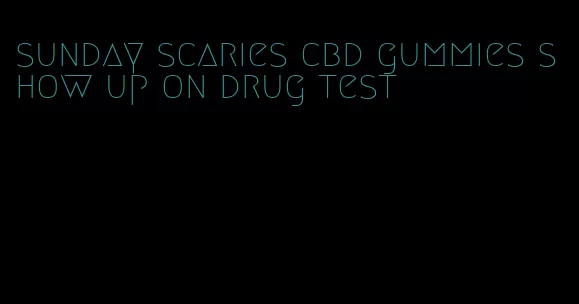 sunday scaries cbd gummies show up on drug test