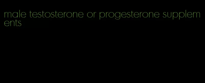 male testosterone or progesterone supplements