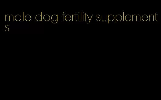 male dog fertility supplements