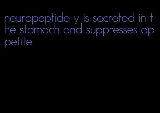 neuropeptide y is secreted in the stomach and suppresses appetite