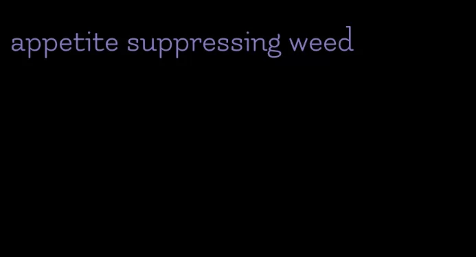 appetite suppressing weed