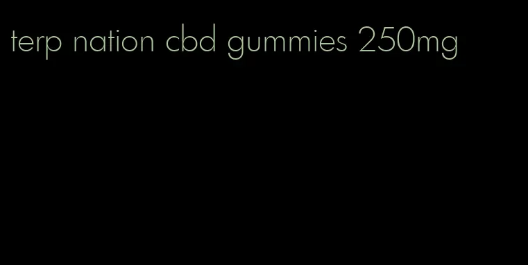 terp nation cbd gummies 250mg