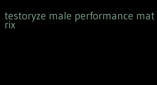 testoryze male performance matrix