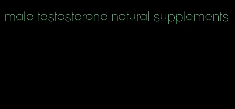 male testosterone natural supplements