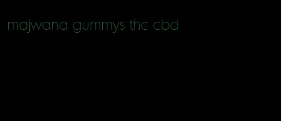 majwana gummys thc cbd