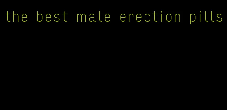 the best male erection pills