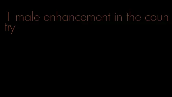 #1 male enhancement in the country