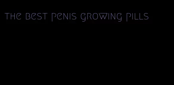 the best penis growing pills