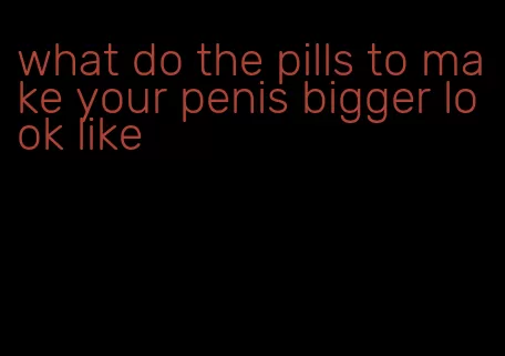 what do the pills to make your penis bigger look like