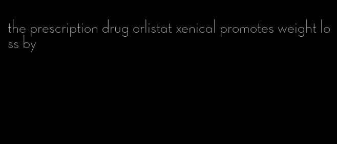 the prescription drug orlistat xenical promotes weight loss by