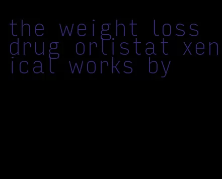 the weight loss drug orlistat xenical works by