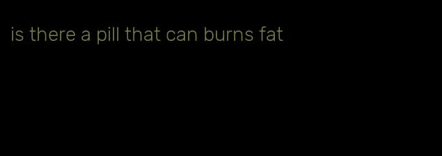 is there a pill that can burns fat