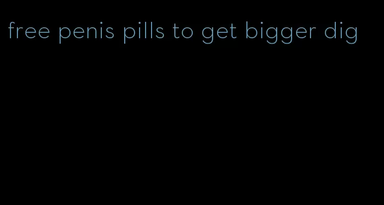 free penis pills to get bigger dig