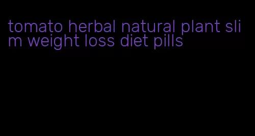 tomato herbal natural plant slim weight loss diet pills