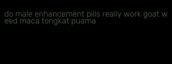 do male enhancement pills really work goat weed maca tongkat puama