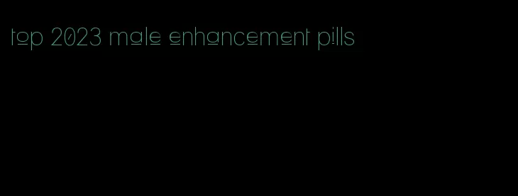 top 2023 male enhancement pills