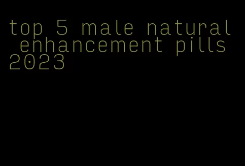 top 5 male natural enhancement pills 2023