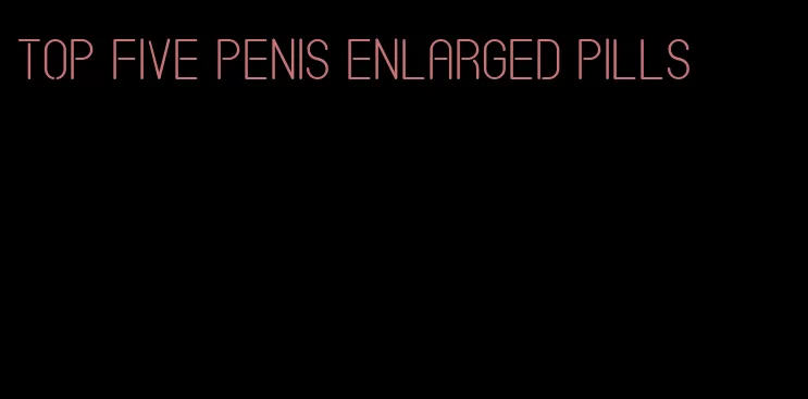 top five penis enlarged pills