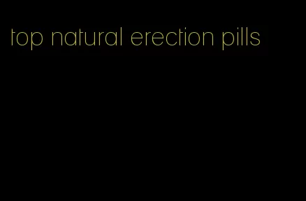 top natural erection pills