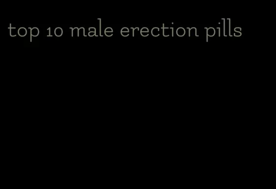 top 10 male erection pills